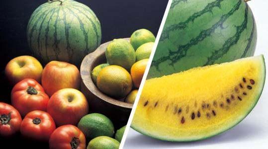 黄心瓜可以吃吗,美味可口的健康食材，你了解多少？