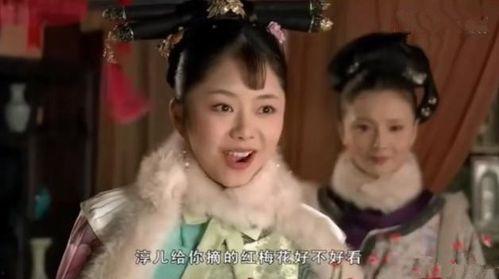 侍寝吃瓜人 TXT,宫廷秘闻背后的宫廷生活