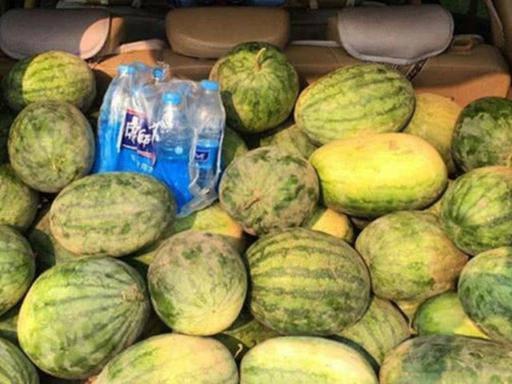 开车吃的瓜,揭秘开车吃瓜的乐趣与注意事项