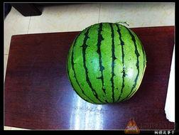 开车吃的瓜,揭秘开车吃瓜的乐趣与注意事项