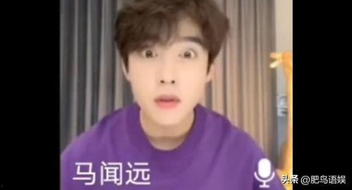 吃瓜qq群明星,揭秘吃瓜QQ群中的明星风云