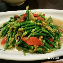 吃瓜的树苗,揭秘绿色植物中的神秘果实