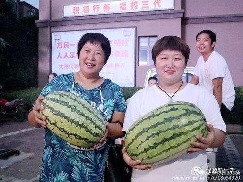 复古吃瓜照片,复古吃瓜照片里的怀旧风情