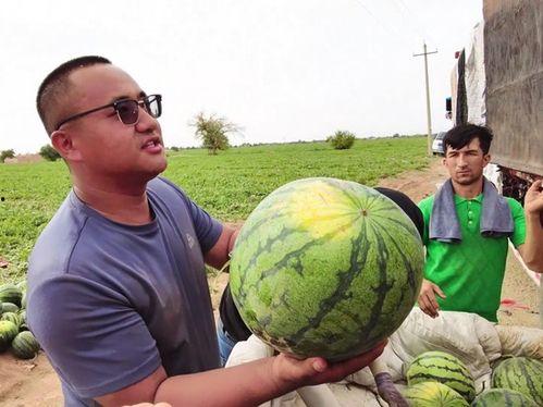 复古吃瓜照片,复古吃瓜照片里的怀旧风情