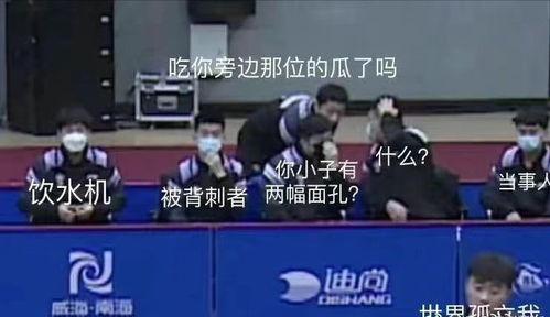 国乒队友吃瓜,队友吃瓜背后的故事揭秘