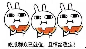 吃瓜人 中立,客观解读娱乐圈风云变幻