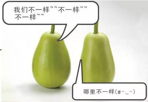 安警院吃瓜,真相与幕后