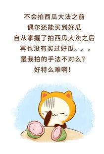 拒绝吃瓜图片,聚焦自我成长