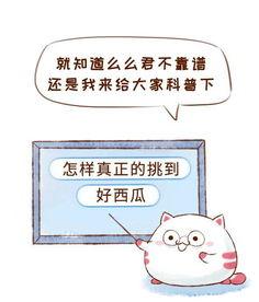 拒绝吃瓜图片,聚焦自我成长