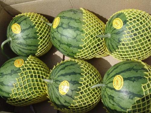 准备吃瓜打工了,职场奋斗正当时