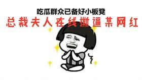 吃瓜总裁和老婆,一段甜蜜的豪门爱情故事