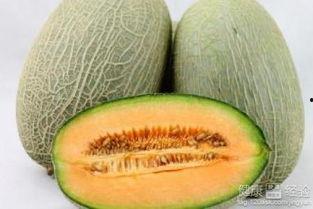 农场吃哈密瓜,哈密瓜的甜蜜盛宴