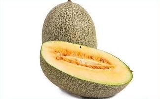 农场吃哈密瓜,哈密瓜的甜蜜盛宴