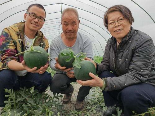 最新吃瓜视频 黑科大,揭秘校园里的“吃瓜”风云