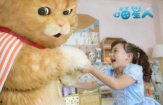 萌宠猫吃瓜大战,一场欢乐的喵星盛宴