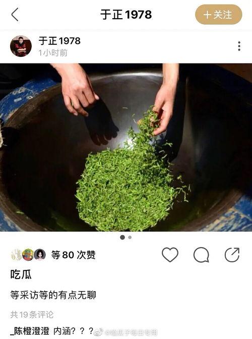 同事吃瓜配文,趣味横生！