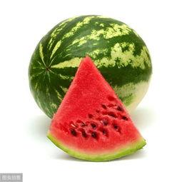 喜欢吃瓜名字,探寻那些令人垂涎的瓜果传奇