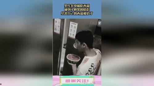 电梯吃瓜的群众,揭秘都市生活百态