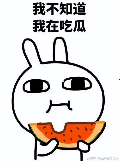 马喜吃瓜日常,瓜界宠儿，日常趣味无限