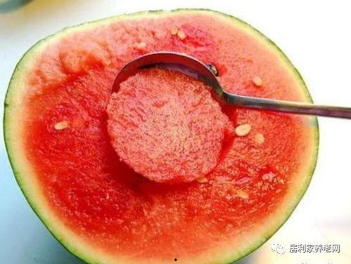 马喜吃瓜日常,瓜界宠儿，日常趣味无限