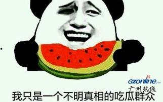 带着吃瓜啥意思,揭秘娱乐圈的幕后故事