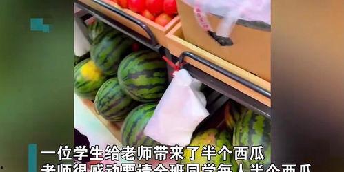 王老师在线吃瓜,揭秘娱乐圈幕后故事