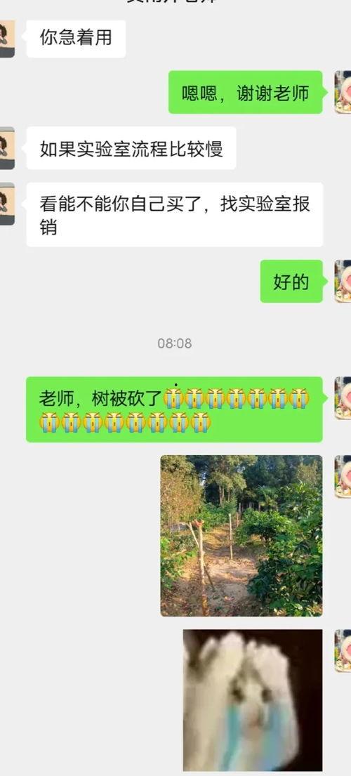 娱乐吃瓜君论文