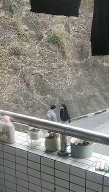 女子拍摄学院 吃瓜,揭秘校园里的那些“吃瓜”瞬间