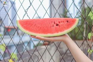 吃瓜原创独家在线,揭秘娱乐圈幕后真相，带你走进明星生活