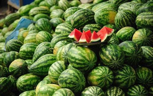 吃瓜些一吃嘛,一吃嘛，尽享夏日清凉