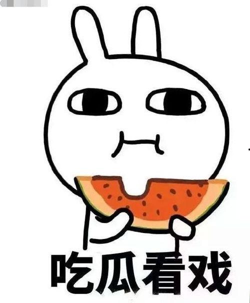 傲世吃瓜,揭秘娱乐圈背后的秘密与真相