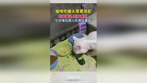 毛毛酱吃瓜
