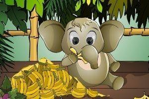 聪明的小象吃瓜,智慧小象的夏日瓜果盛宴