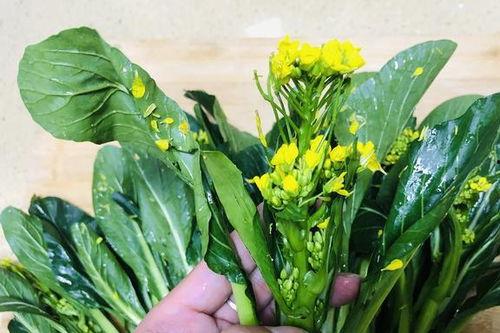 黄花吃瓜小组,揭秘网络热点的幕后故事