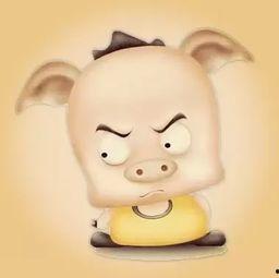 猪吃瓜头像,揭秘网络热门表情包背后的趣味故事