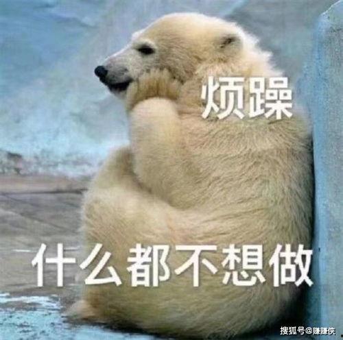 吃瓜群众的短句图片,揭秘网络热议背后的趣味与思考