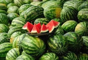 吃蜜瓜嘴巴流血,吃瓜嘴流血的惊悚体验