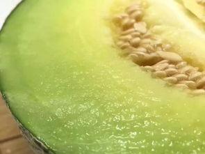 佛山吃瓜的视频,一网打尽本地特色美食