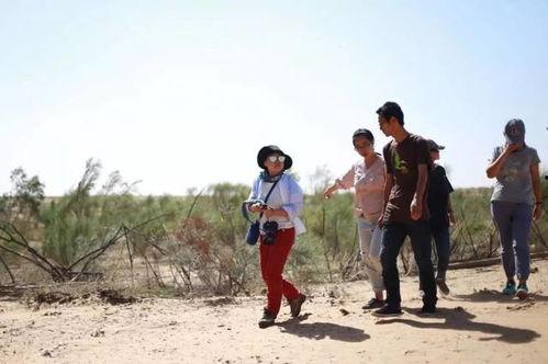 写在农村吃瓜的情景,农村吃瓜时光的悠闲画卷