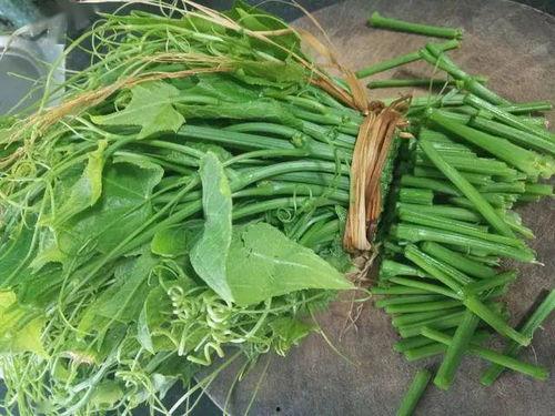 佛手瓜几月吃,夏季至秋季的清新美味