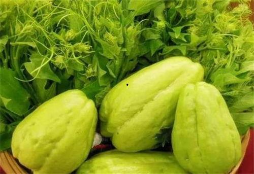 佛手瓜几月吃,夏季至秋季的清新美味