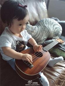 吃瓜欧弟,揭秘娱乐圈背后的那些事儿