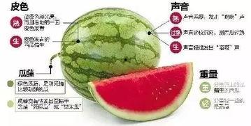 微信吃瓜途径,揭秘热门事件背后的真相与内幕