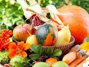 搜索周公解梦_梦到吃瓜,梦到吃瓜的吉凶预兆