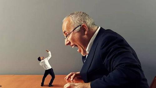 老板和员工吃瓜,职场和谐新篇章