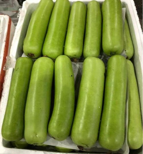 蒲瓜能干吃吗,探索干吃蒲瓜的独特风味