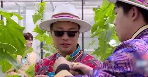 极限挑战吃蜜瓜,极限挑战中的甜蜜瞬间