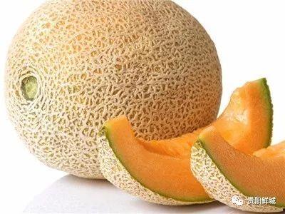 amy吃哈密瓜,Amy的哈密瓜美食之旅