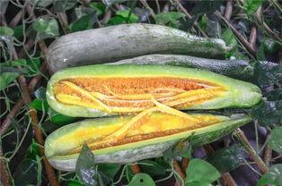 各平台网红吃瓜,各大平台热辣话题大盘点