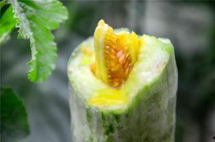 各平台网红吃瓜,各大平台热辣话题大盘点